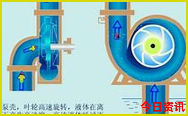 收藏必备2025一键直达全年资料最新动态免费领取大全-2025最新免费资料大全